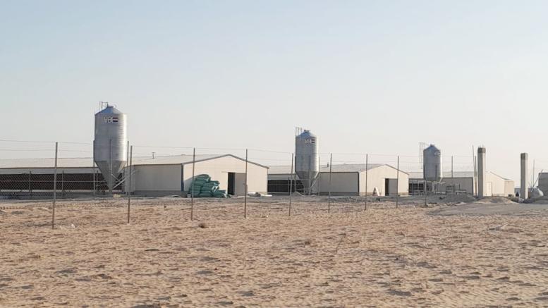 August-Saudi-Arabia-1.jpg