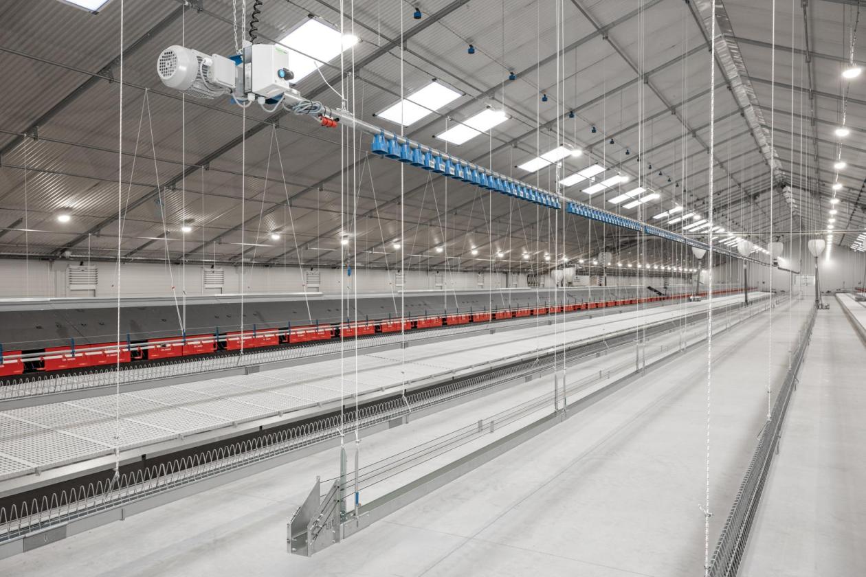Broiler Breeder Project – Visit us at the VIV Europe 