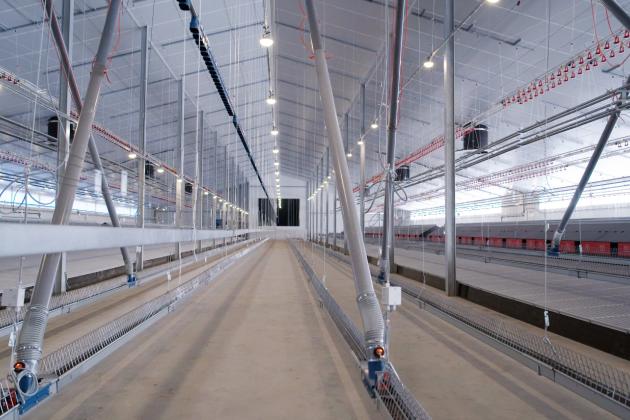 Project Video: Two Broiler Breeder Houses