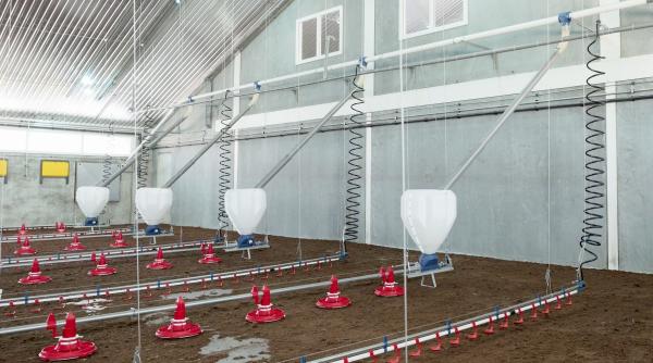 Broiler-Farm-in-the-Europe-2025-2.jpg