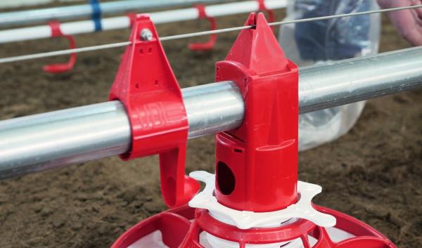 Broiler-Farm-in-the-Europe-2025-Flow-Slider.jpg
