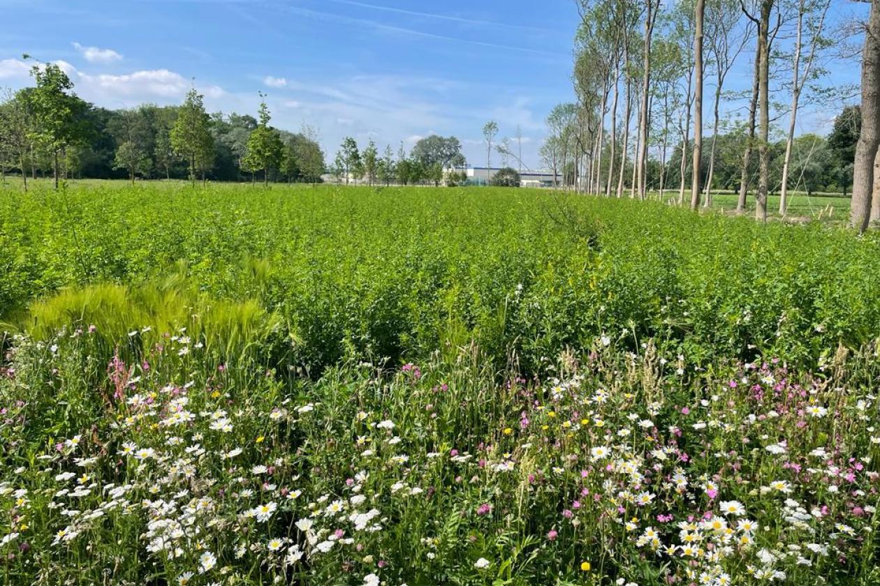 Création d’une fondation chargée de la qualité de vie des riverains aux abords de VDL Nedcar  