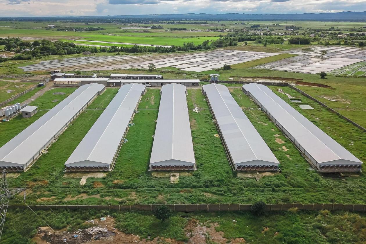 Première ferme poulets de chair équipés en matériel  VDL agrotech aux Philippines